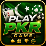 Download PlayPKR Game
